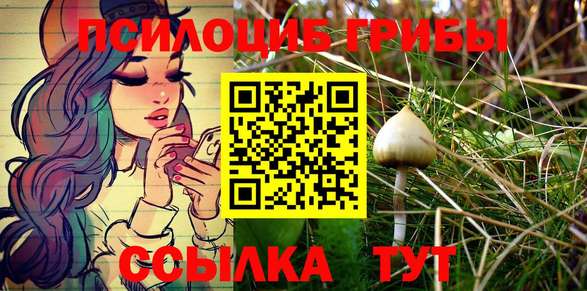Троицк  где найти   Вход с VPN  Псилоцибиновые грибы Psilocybine cubensis 